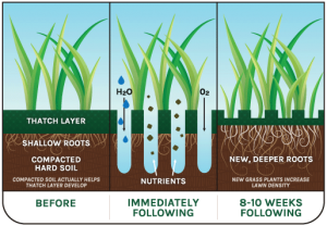 Improve Your Lawn with Aeration and Dethatching