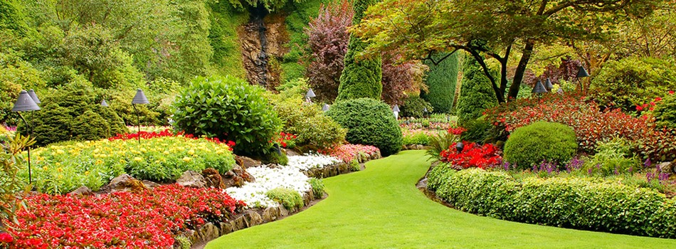 Lush Commercial Gardens