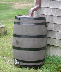 rain-barrel[1]